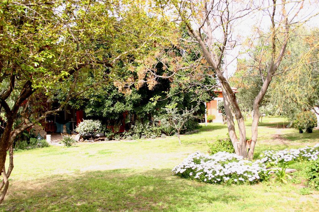 Pedra De Mari Hotel Pula Exterior foto